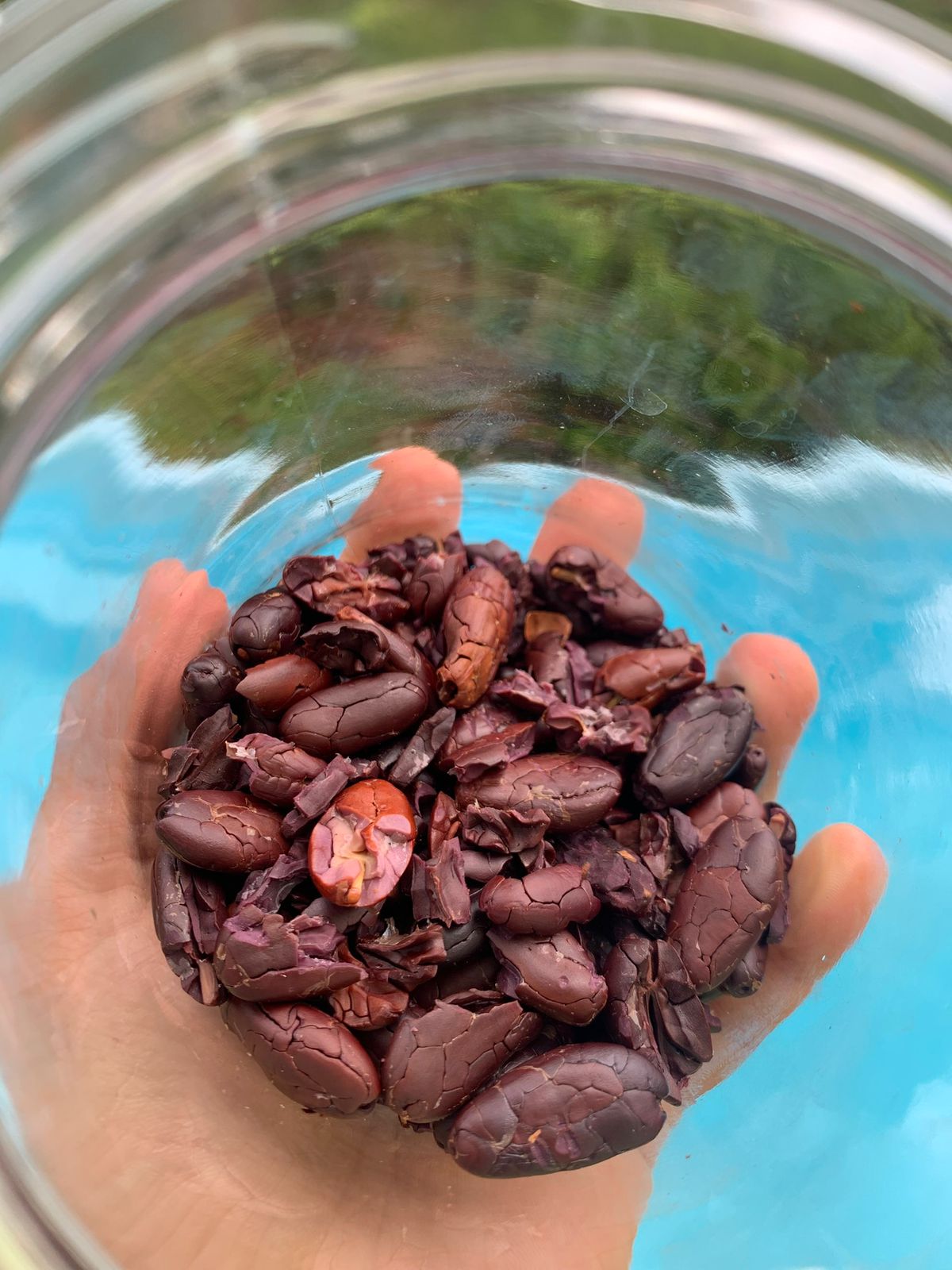 WhatsApp Image 2025-10-21 at 12.30.26 (2).jpeg